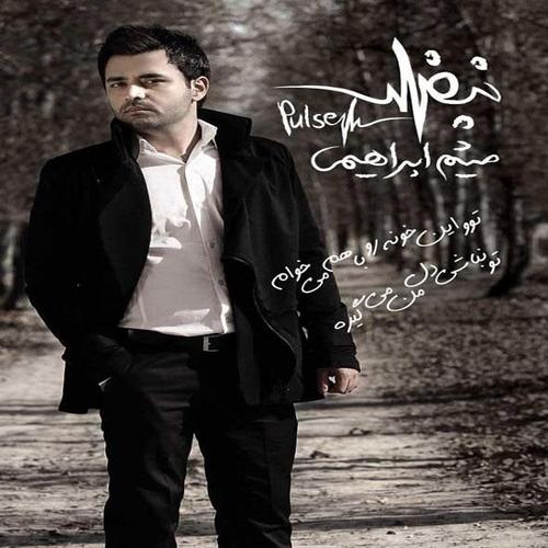 آهنگ بی کلام دل بستم از میثم ابراهیمی